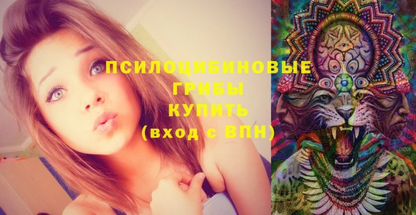кристаллы Алексин